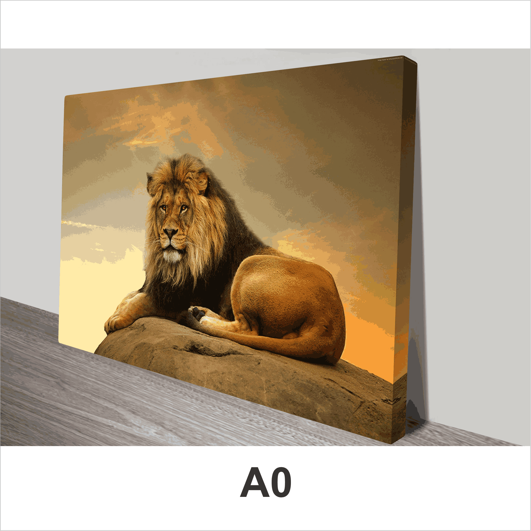 Canvas Block Mount Duzi Signs